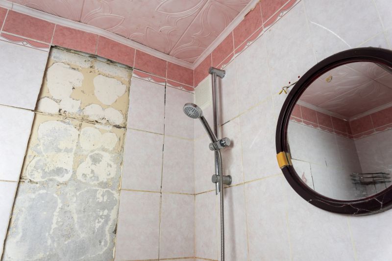 Top Shower Remodeling Companies in Wylie, TX